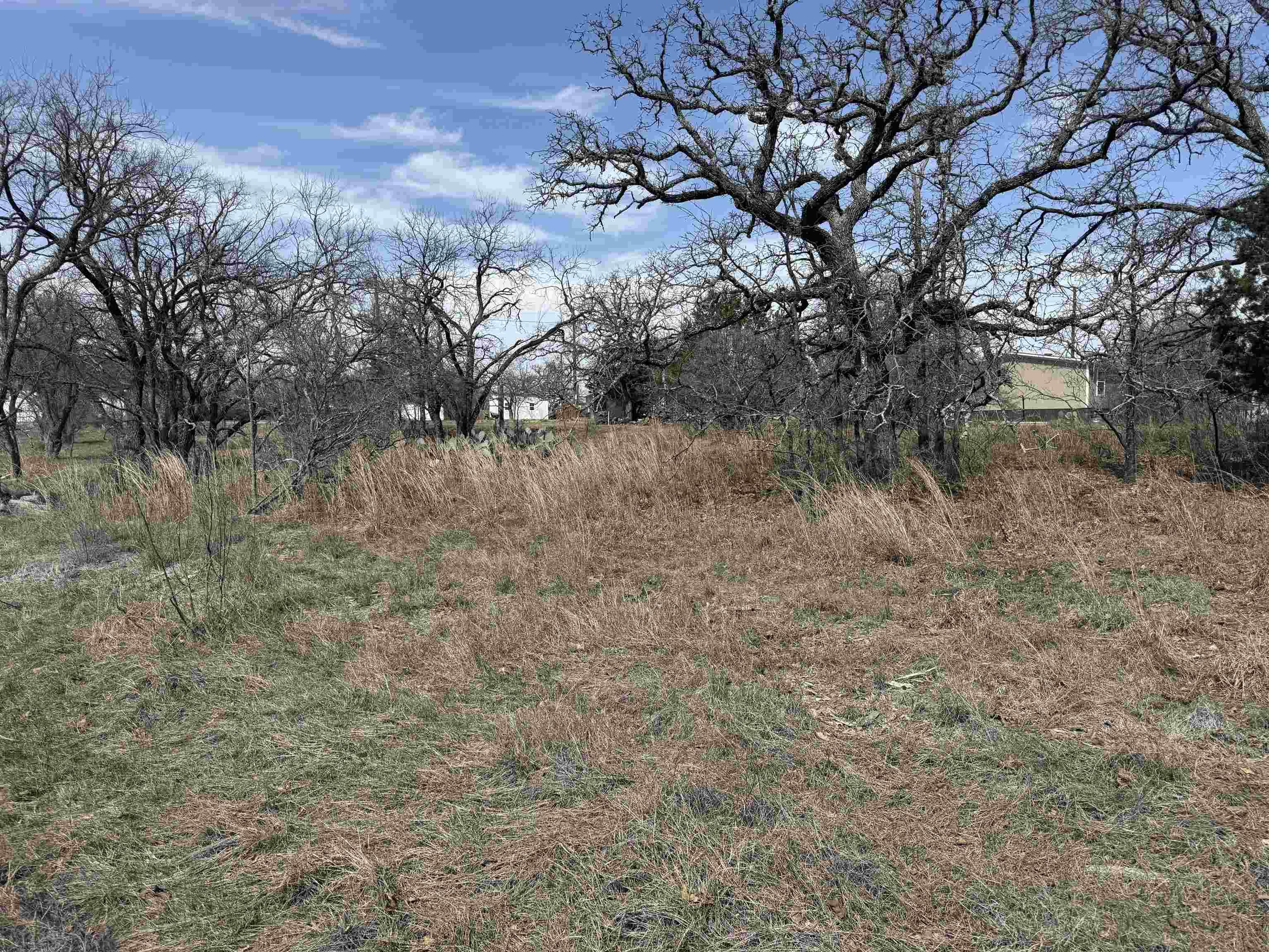 Image 4 Image 4
