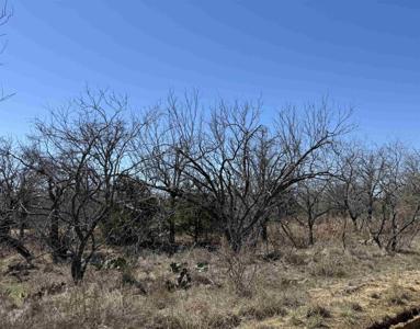 Lot 102 Ridgemont Drive