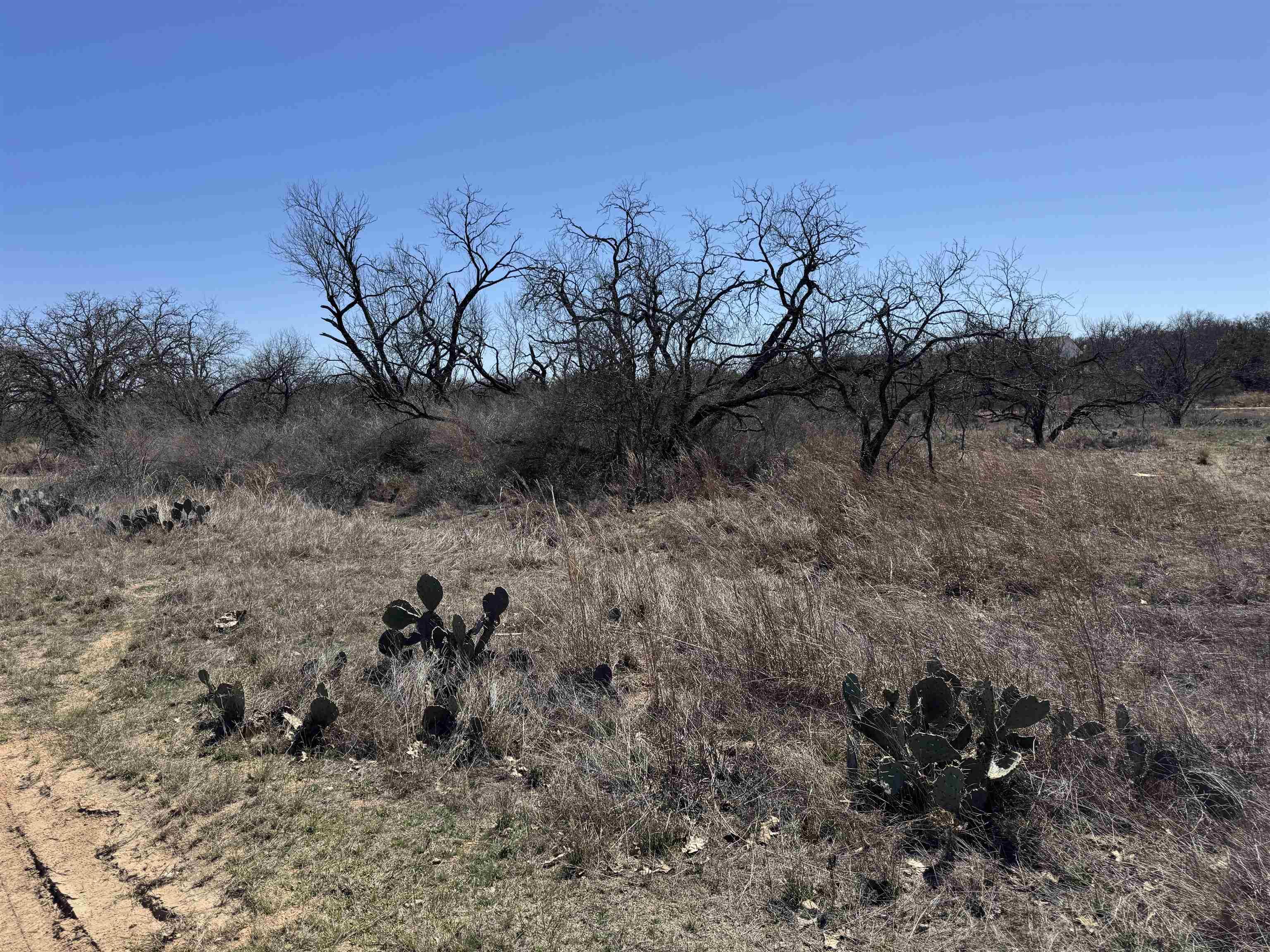 Image 4 Image 4