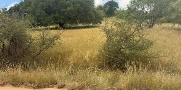 Image 4 Image 4