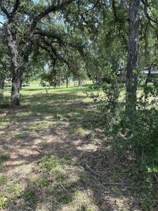 Lt N1010-D Horseshoe Bay North