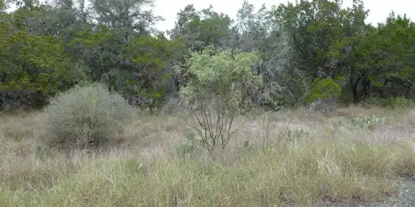 Image 2 Image 2