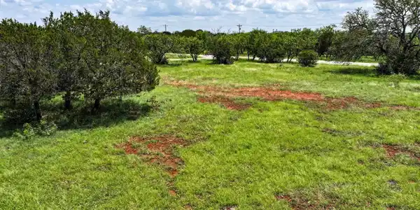 Image 3 Image 3