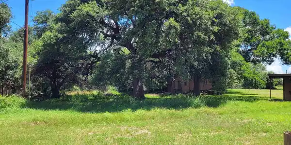 Image 4 Image 4