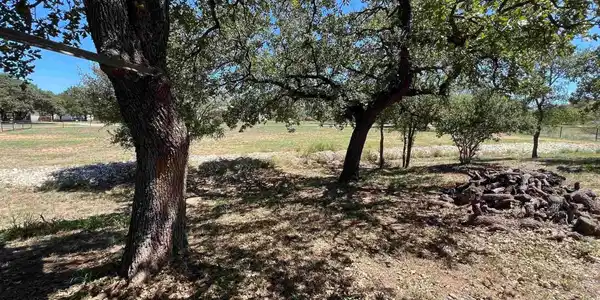 TBD lasso Loop