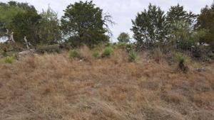 lot 652 W Newcastle Drive