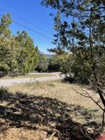207 E Bluebonnet Road