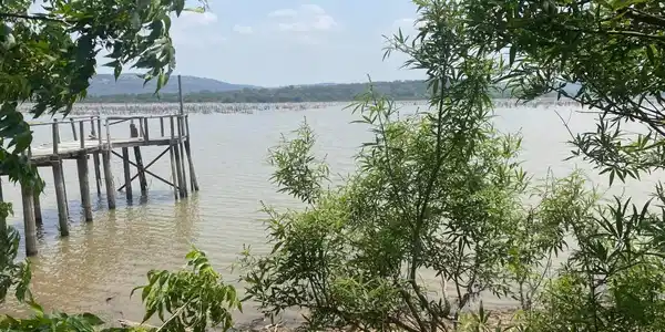 324 Tow Trail