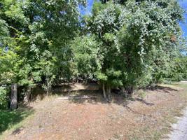Lot 379 Coyote Trail