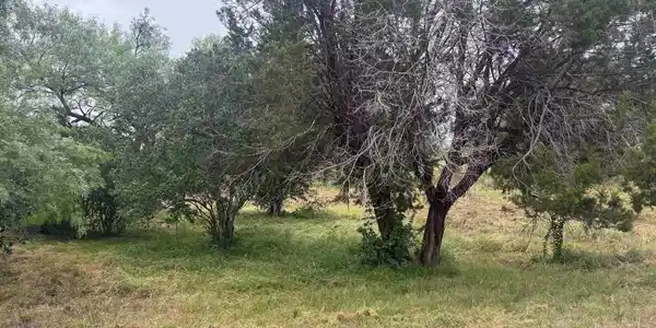 Image 2 Image 2