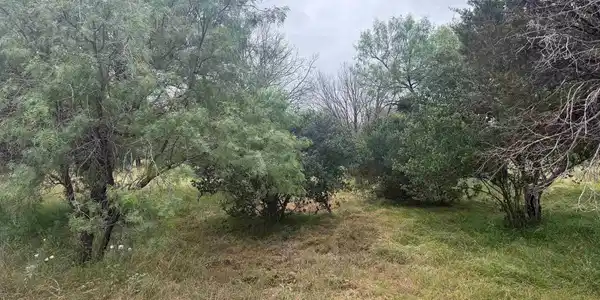 Image 3 Image 3