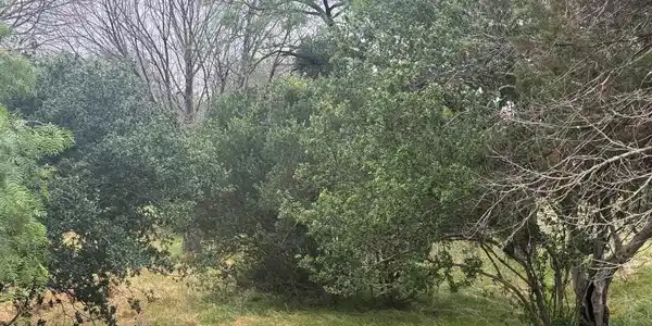 Image 4 Image 4
