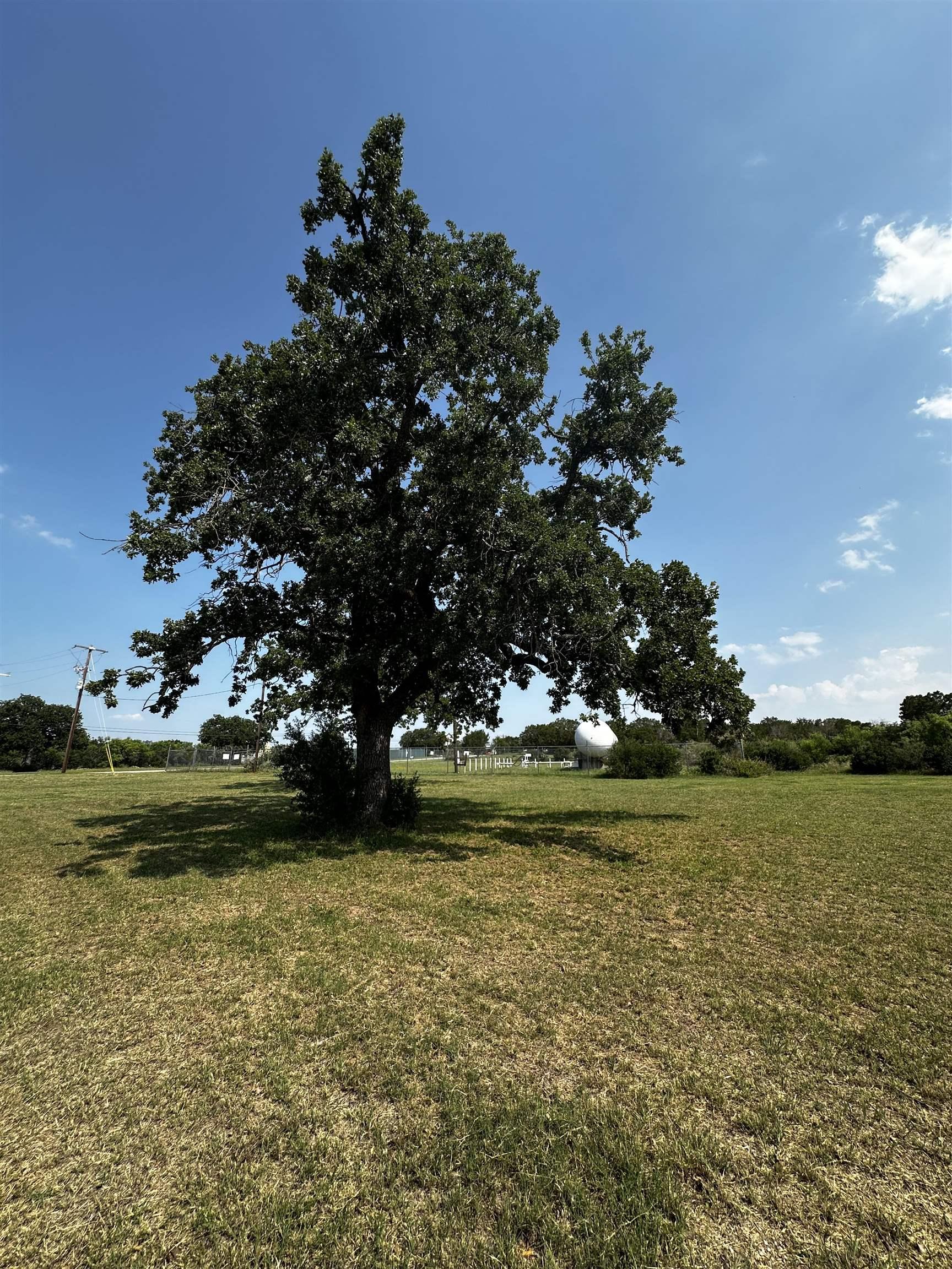 Image 2 Image 2