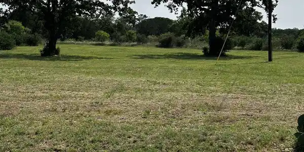 Image 4 Image 4