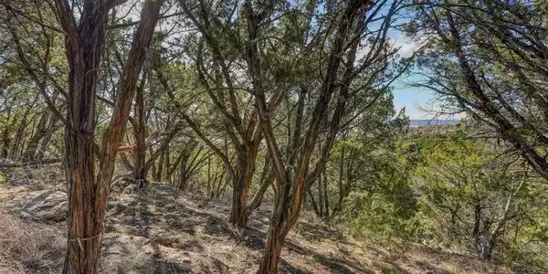 Image 4 Image 4