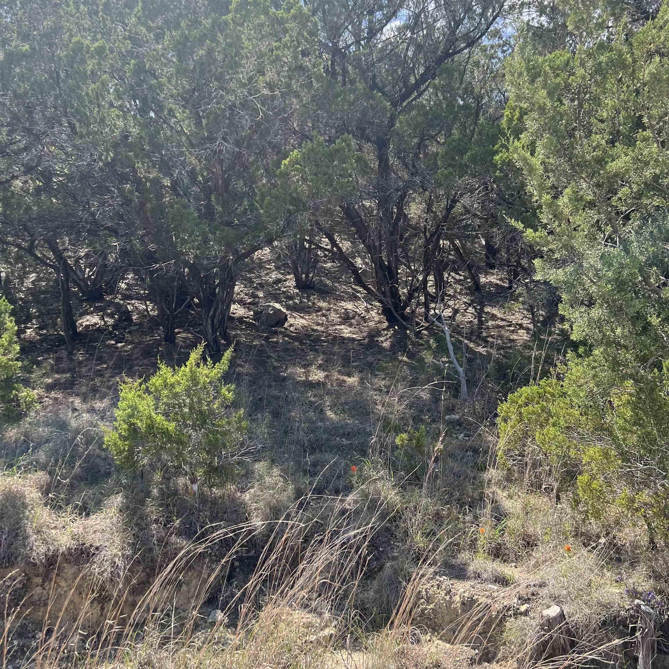 Image 4 Image 4