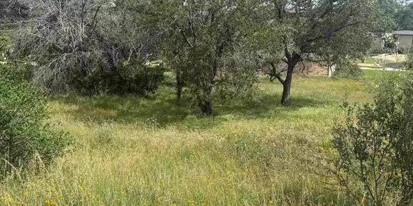 Image 4 Image 4