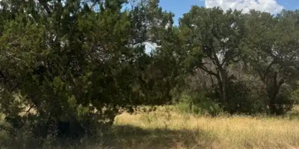 Image 3 Image 3