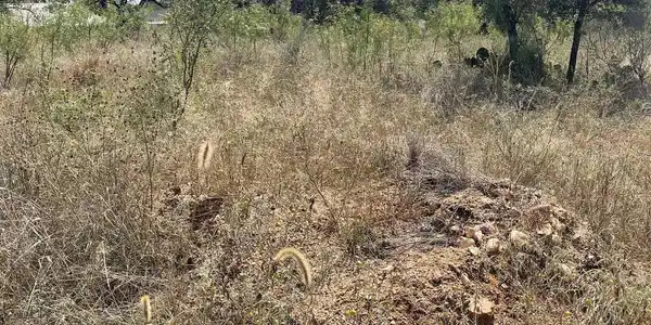 Image 4 Image 4
