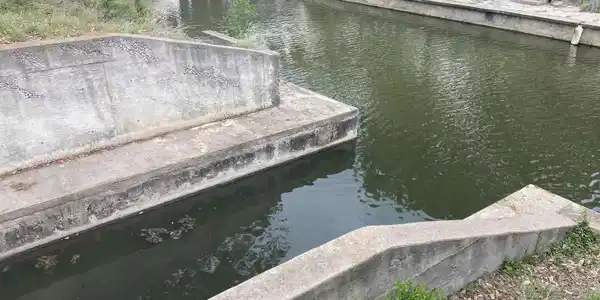 Image 3 Image 3