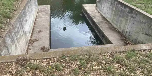 Image 4 Image 4
