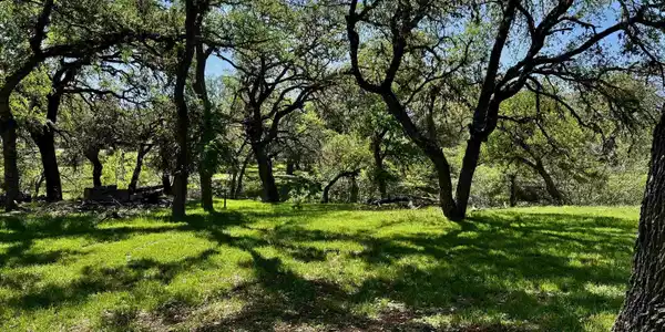 00 Cedar Trail