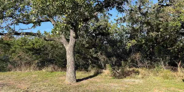 Image 4 Image 4
