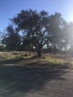 Norwood Drive Drive