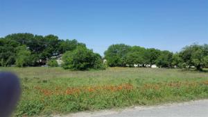 lot 4 Scenic Loop