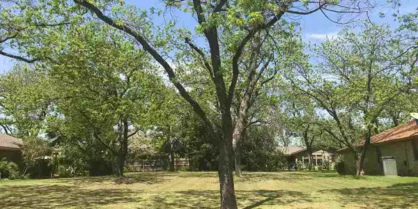Lot 633 Stewart