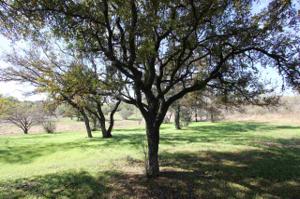 Lot 7082 Hi Circle North
