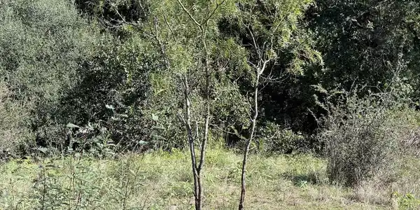 Image 3 Image 3