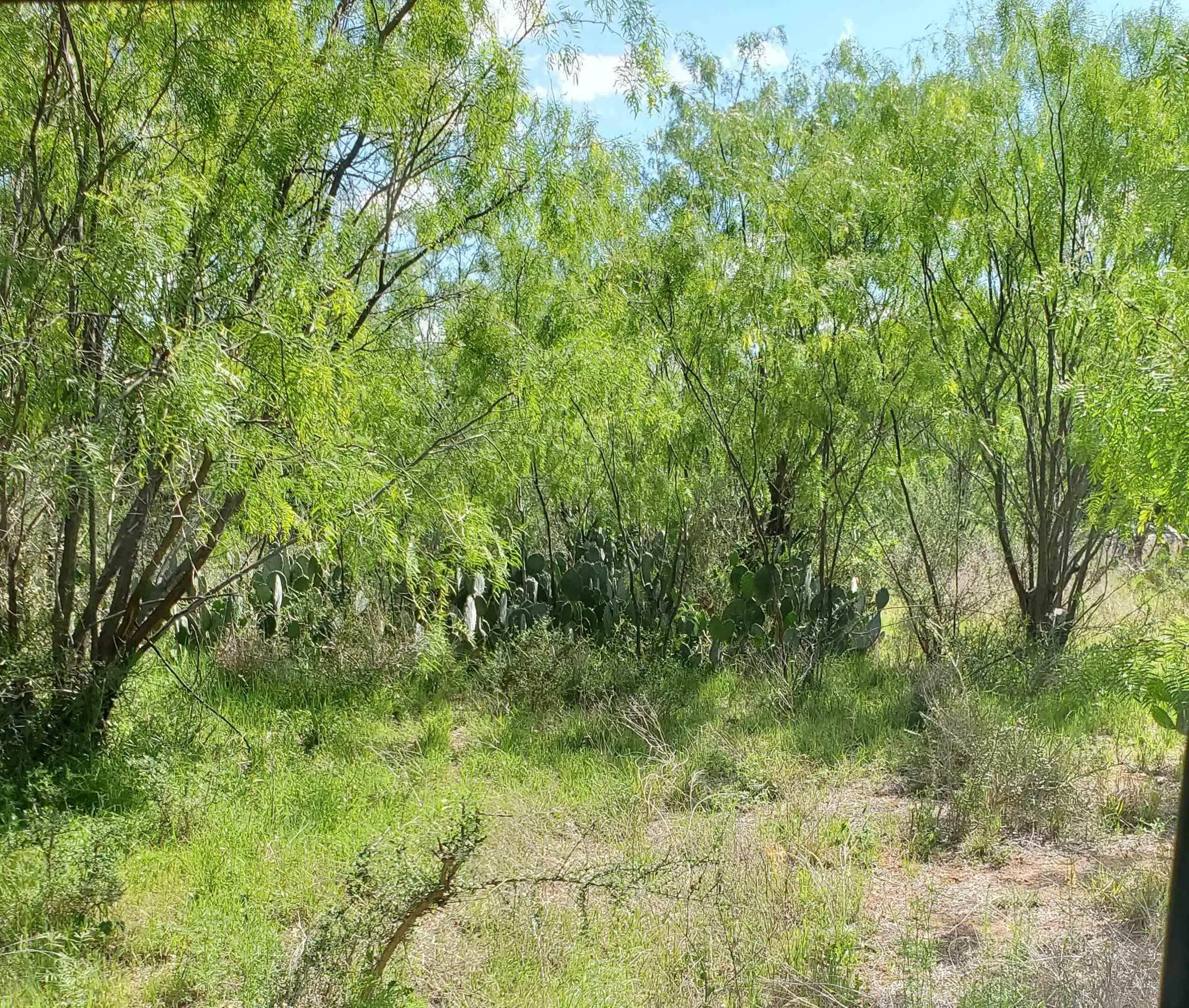 Image 1 Image 1