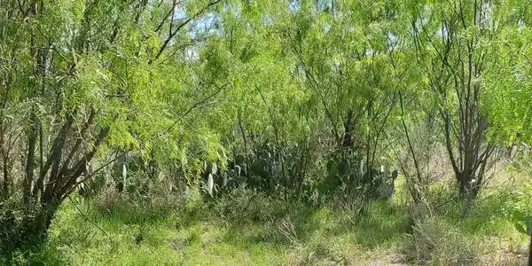Lot 303 Driftwood Drive