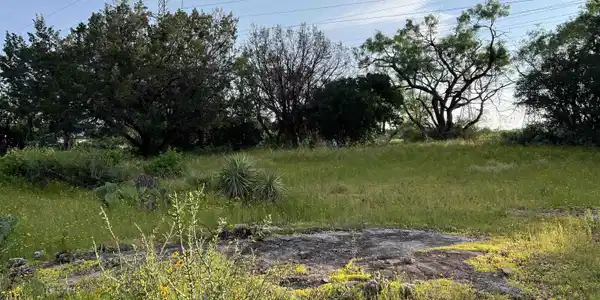 Image 4 Image 4