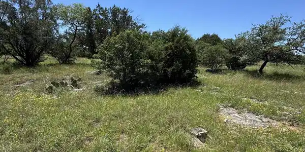 Image 4 Image 4