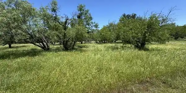 Image 4 Image 4