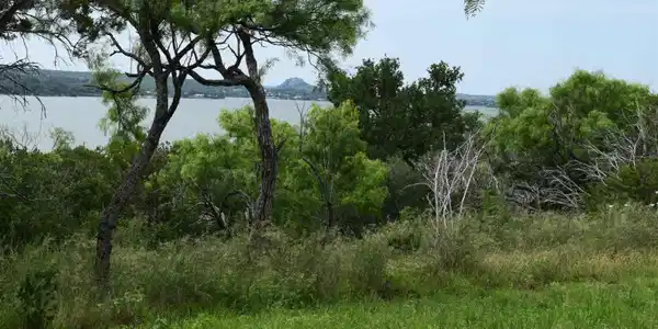 Image 3 Image 3