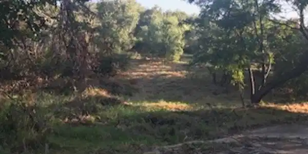 lot 59 Taylor Dr Drive