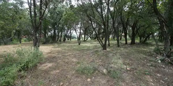 Lot 664 Maple Lane