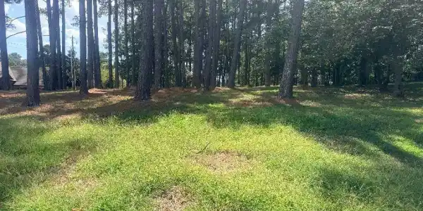 358 HOUSLEY Point
