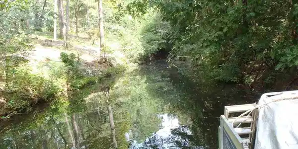 Image 2: Image 2