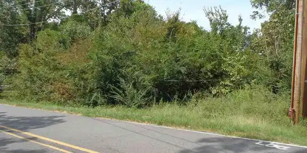 Image 3: Image 3