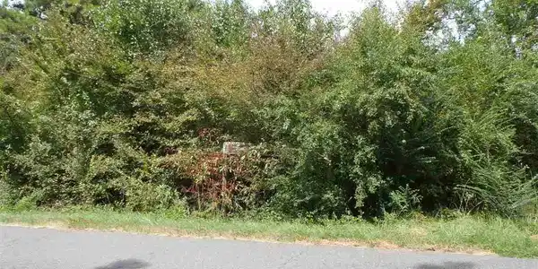 Image 4: Image 4