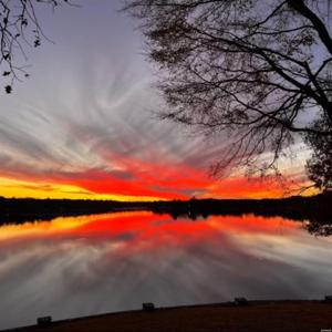 000 OSPREY Point Lot Lot 29