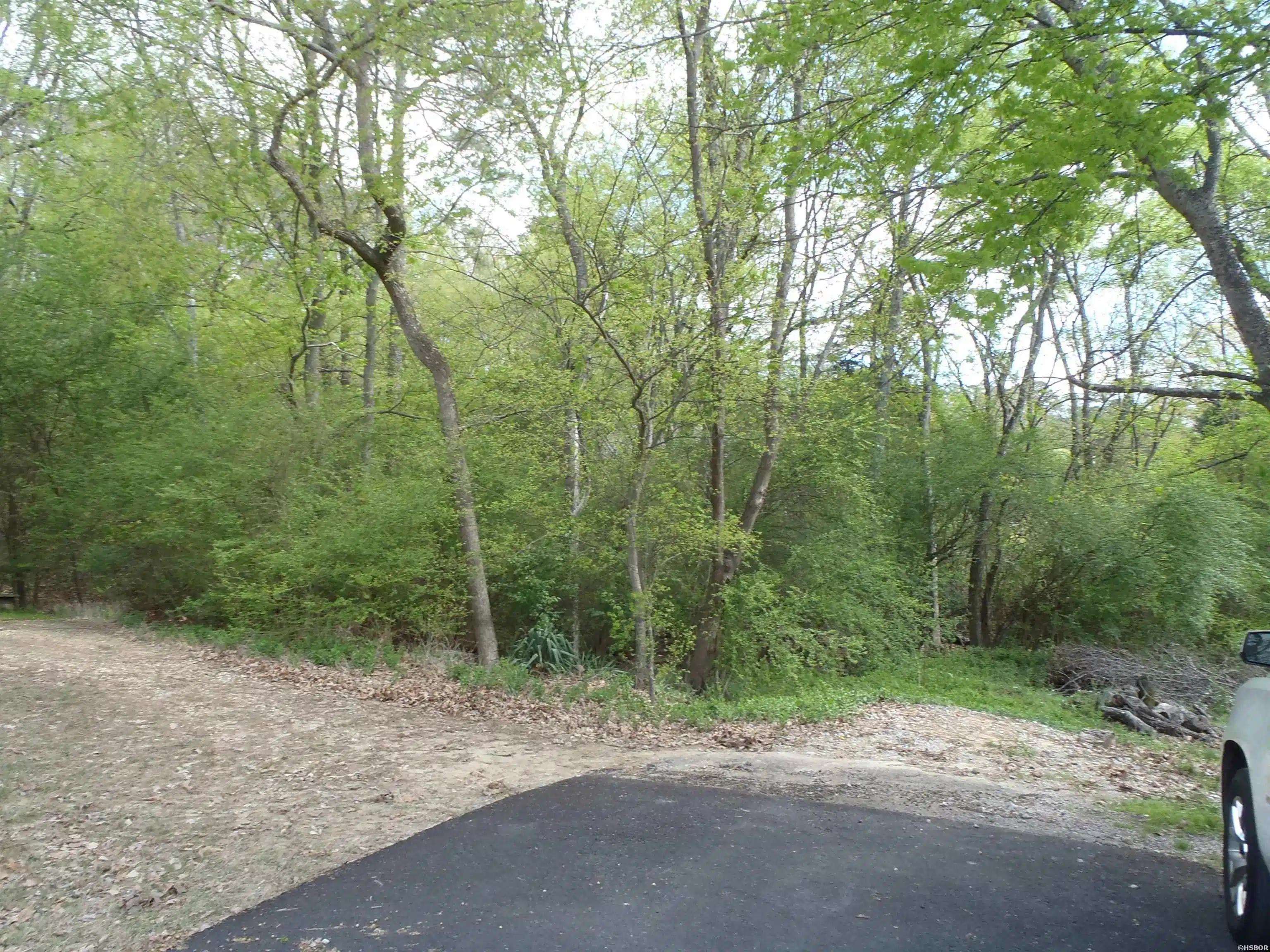 Image 1: Image 1