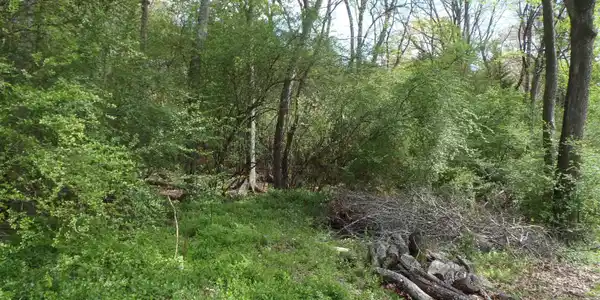 Image 3: Image 3