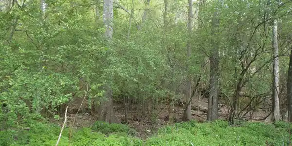 Image 4: Image 4