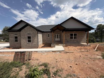 173 COUGAR Terrace