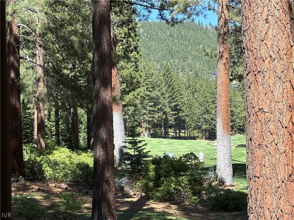 Image 2: View from Living Room